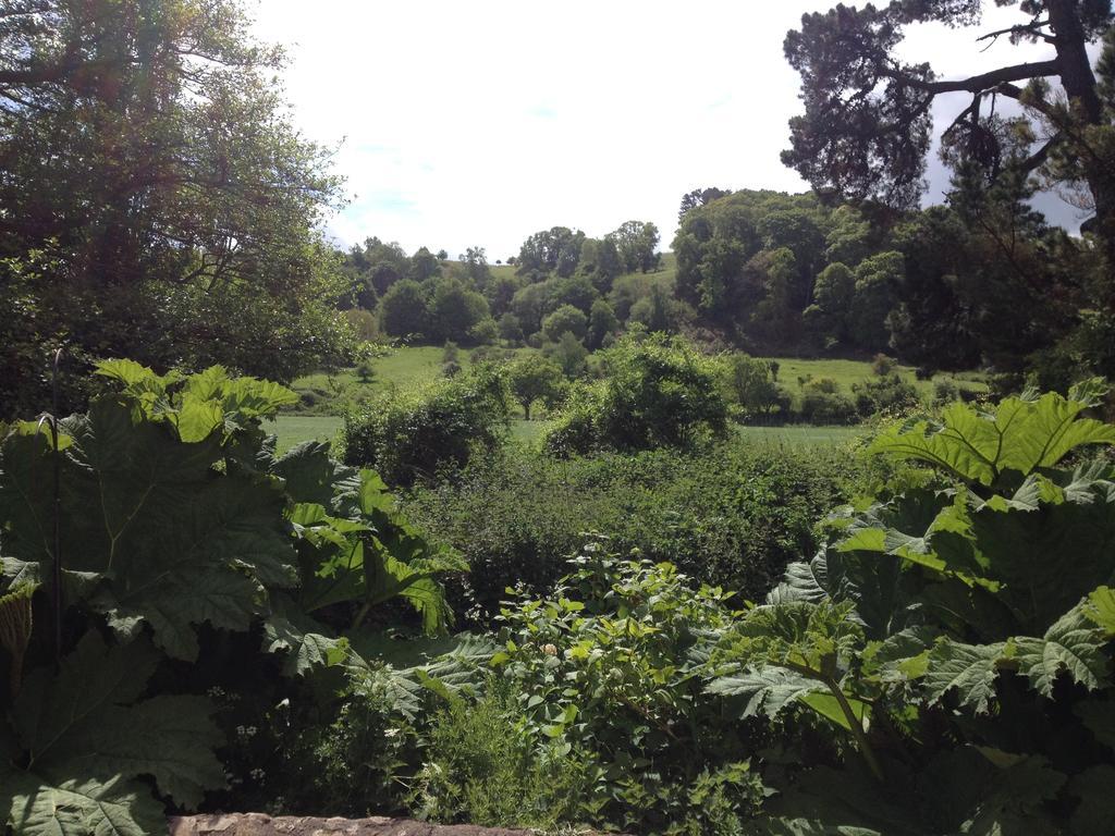 Mill House 3* Dunster
