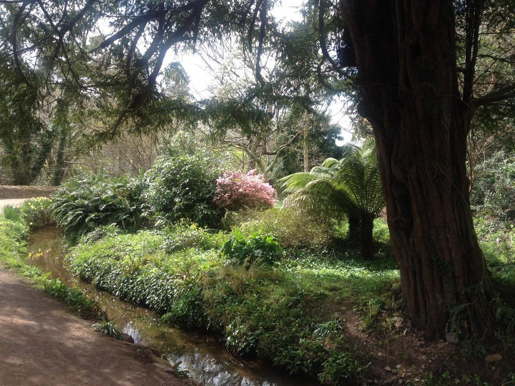 Mill House 3* Dunster